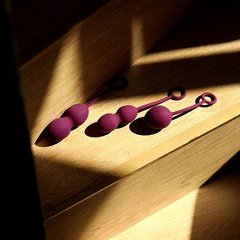 Набор вагинальных шариков со смещенным центром тяжести Svakom Nova Violet SO4831 фото