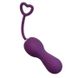 Вагінальні кульки з вібрацією "Funny Egg" - Фіолетовий X0000787-2 фото 1