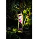 Массажное масло Shunga Aphrodisia - Roses (240 мл) натуральное увлажняющее SO4807 фото 1