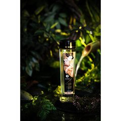 Массажное масло Shunga Desire - Vanila (240 мл) натуральное увлажняющее SO4809 фото