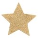 Пэстис - стикини Bijoux Indiscrets - Flash Star Gold, наклейки на соски SO2340 фото 4