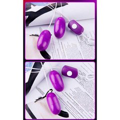 Двойное виброяйцо USB - Фиолетовый – Вибраторы X0000568-2 фото