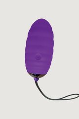 Виброяйцо Adrien Lastic Ocean Breeze Purple с пультом ДУ, 10 режимов работы AD40743 фото