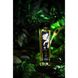 Масажна олія Shunga Sensual – Island Blossoms (240 мл) натуральна зволожувальна SO4813 фото 1