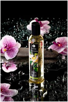 Органическое массажное масло Shunga ORGANICA - Exotic green tea (240 мл) с витамином Е SO3936 фото