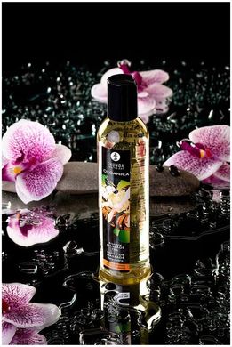 Органічна масажна олія Shunga ORGANICA – Almond Sweetness (240 мл) з вітаміном Е SO3937 фото