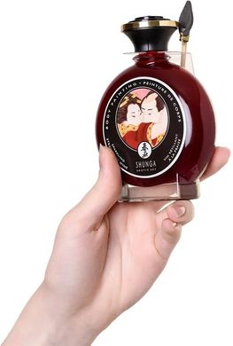 Краска для тела Shunga BODYPAINTING - Vanilla-Chocolate Temptation (100 мл) без глютена и парабенов SO2547 фото