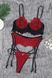 Кружевной комплект с портупеей и подвязками для чулок - Красный - S/M – Эротическое бельё X0000066-3 фото 8