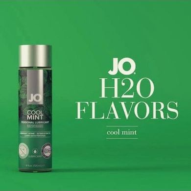 Змазка на водній основі System JO H2O — Cool Mint (30 мл) без цукру, рослинний гліцерин SO1625 фото