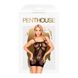 Мини-платье сетка Penthouse - Above & Beyond Black XL SO5228 фото 4
