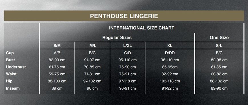 Бодистокинг с имитацией лифа Penthouse - High Profile Black XL SO5266 фото