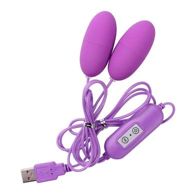 Подвійне Віброяйце з USB-дротом - Фіолетовий - Вібратори X00000102-2 фото