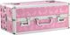 Большой кейс для хранения секс-игрушек BMS Factory Large Lokable Vibrator Case Pink, кодовый замок SO8900 фото 2