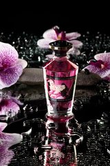 Разогревающее масло Shunga Aphrodisiac Warming Oil – Raspberry Feeling (100 мл) без сахара, вкусное SO2494 фото