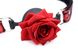 Кляп з трояндою Master Series: Eye-Catching Ball Gag With Rose, чорно-червоний SO8794 фото 3