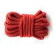 БДСМ набор из 10 предметов (3) - Красный – Садо-мазо X0000041-2 фото 8