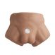 Полуторс с фаллоимитатором на присоске SilexD Apollo S Male Torso Caramel SX0813 фото 2