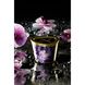 Масажна свічка Shunga Massage Candle – Exotic Fruits (170 мл) з афродизіаками SO2512 фото 1
