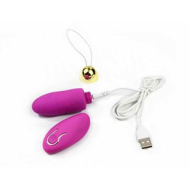 Яркое виброяйцо с Д/У USB - Фиолетовый – Вибраторы X00000273-2 фото